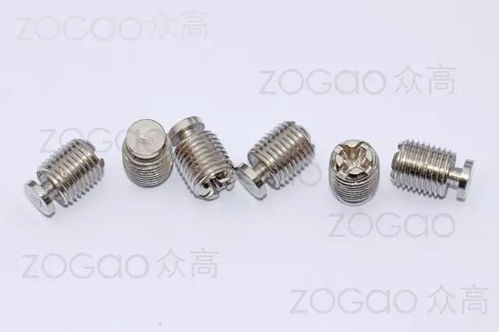 揭秘揭東縣埔田鎮(zhèn)東春五金制品廠 新型鉸鏈調節(jié)螺絲的專業(yè)制造者